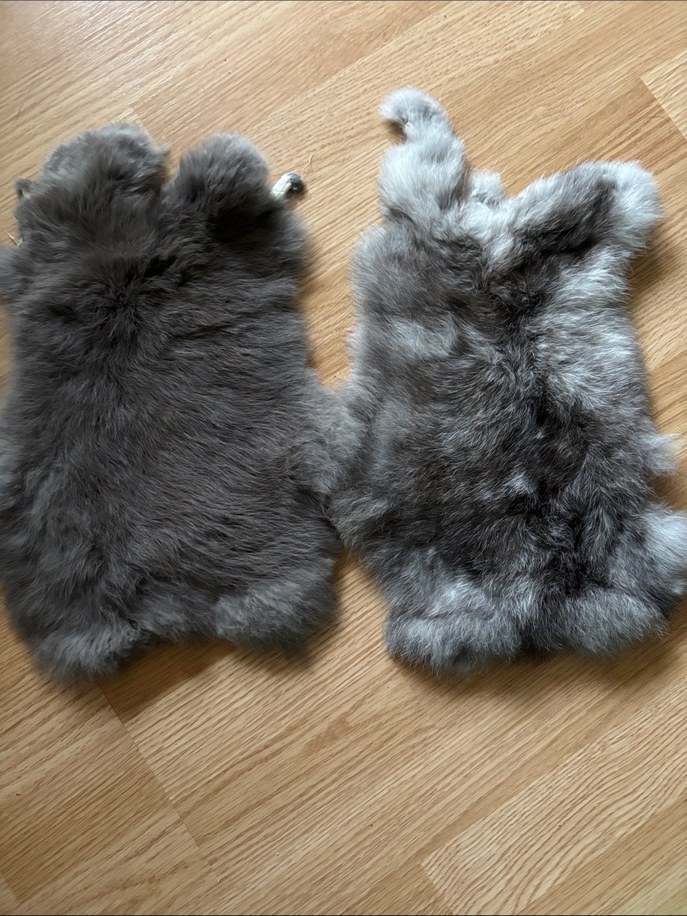 B0243 set rabbit pelts craft supply